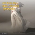 요정 튜브탑 셀프웨딩드레스, 입어보니 스냅촬영에 딱 맞더라고요