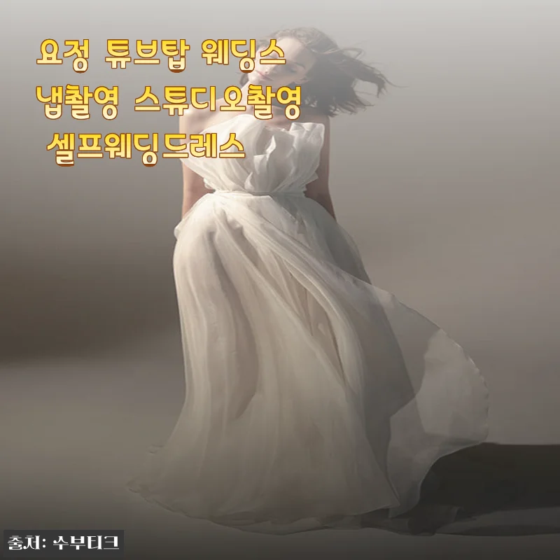요정 튜브탑 셀프웨딩드레스, 입어보니 스냅촬영에 딱 맞더라고요