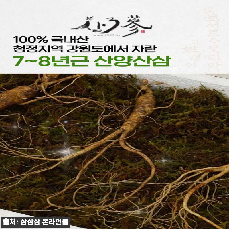 7~8년근 산양산삼 10뿌리, 품질검 관련 이미지 2