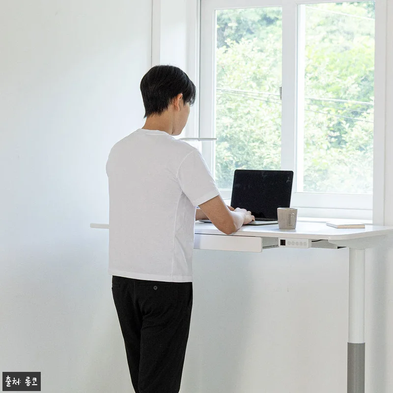 롱코 모션데스크 NOVA LITE 찐 관련 이미지 3