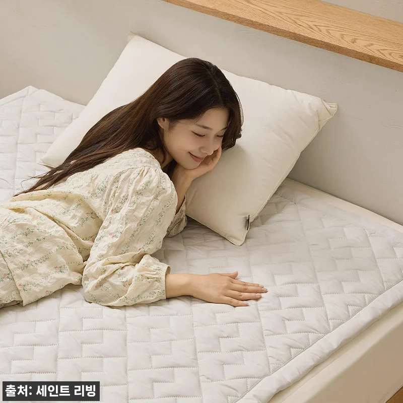 세인트리빙 전기요 프리미엄 그래핀 블 관련 이미지 3