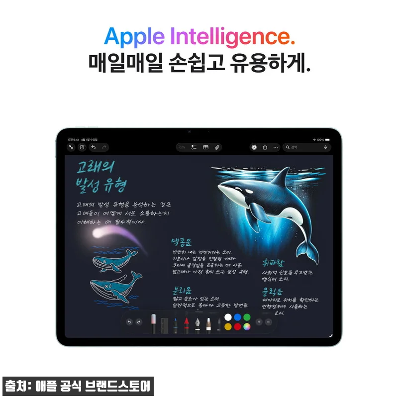 애플 아이패드 에어 13 M4 WiF 관련 이미지 4
