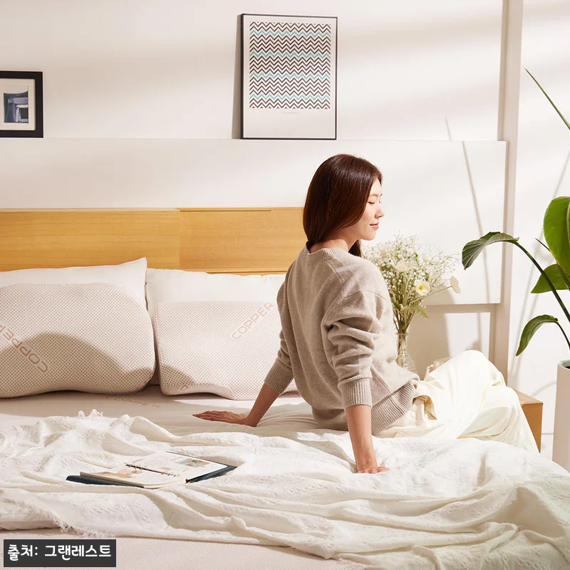 그랜레스트 발칸 메모리폼 바이오 그린폼 매트리스 Q 20cm, 할인 중이라 눈여겨볼 이슈템 16 그랜레스트 발칸 메모리폼 바이오 그린 관련 이미지 6