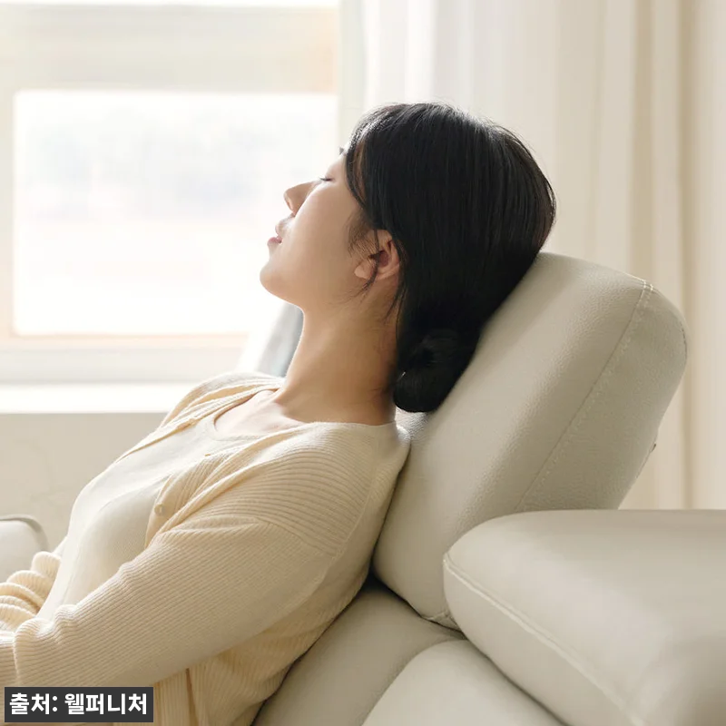 타이탄 신소재 라운지 소파 3인용 라 관련 이미지 8