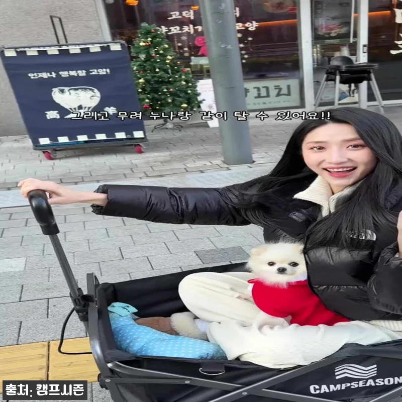 전동캠핑웨건 뒷문개방형, 롤테이블&middot;네 관련 이미지 10