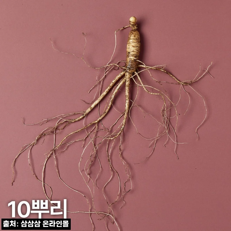 7~8년근 산양산삼 10뿌리, 품질검사 확인까지 챙긴 선물용 이슈템