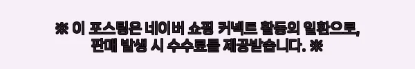 일렉하임 사륜 전동스쿠터, 이동 부담 덜어줄 효도 전기차로 눈여겨본 이유 5 이해관계문구